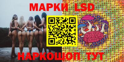 винт Тара