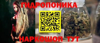 винт Тара