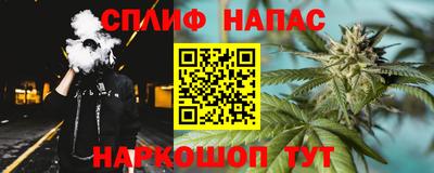 винт Тара