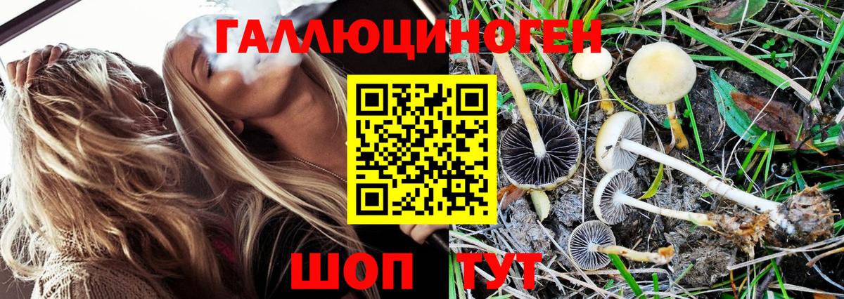 Галлюциногенные грибы GOLDEN TEACHER Протвино