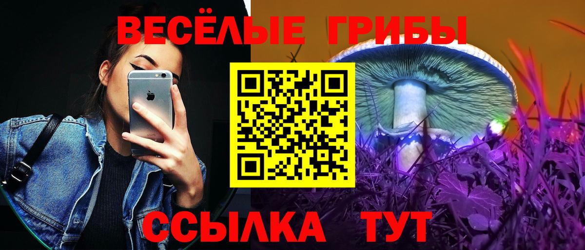 Псилоцибиновые грибы Psilocybine cubensis  Вход с VPN  Протвино  купить закладку  Псилоцибиновые грибы MAGIC MUSHROOMS 